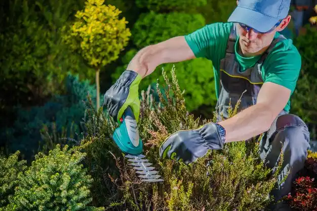 landscaping services Hillview